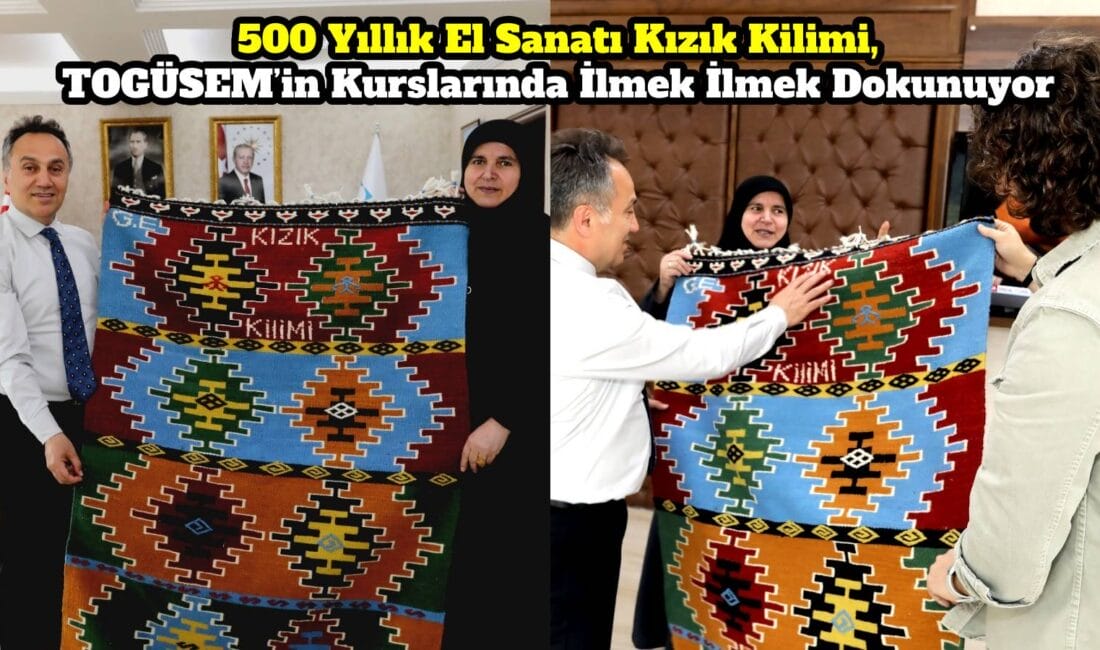 Tokat Gaziosmanpaşa Üniversitesi Sürekli Eğitim Uygulama ve Araştırma Merkezi (TOGÜSEM)