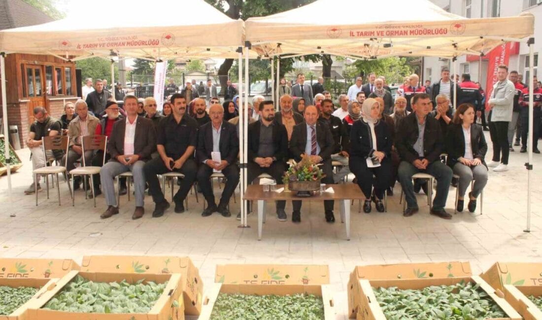 Düzce’de sebze üretimini artırmak amacıyla tarım arazilerinin kullanımının etkinleştirilmesi projesi