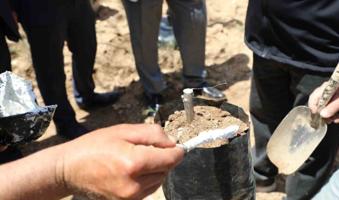 Eskişehir İl Tarım ve Orman Müdürlüğü’nce Bitkisel Üretim Genel Müdürlüğü