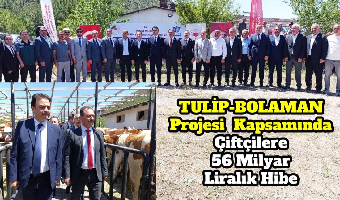 Tokat’ın Reşadiye ilçesinde, TULİP-BOLAMAN Havzası Rehabilitasyon Projesi kapsamında Reşadiye ve