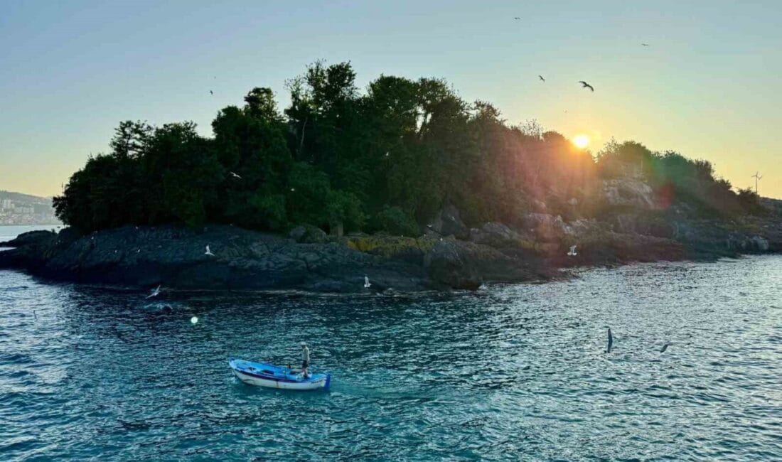 Doğu Karadeniz’in yaşanılabilir tek adası ziyaretçilerini ağırlamaya başladı. Martı ve