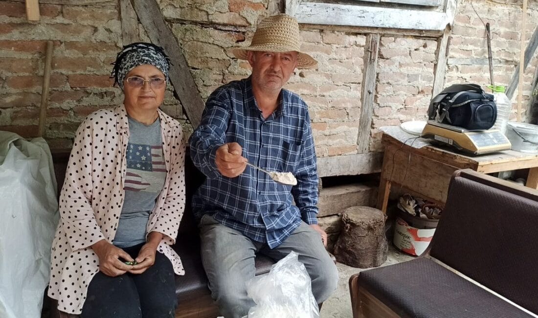 ZONGULDAK (İHA) – İstanbul’da uzun yıllar yaşayan iki kardeş, emekliliklerinin