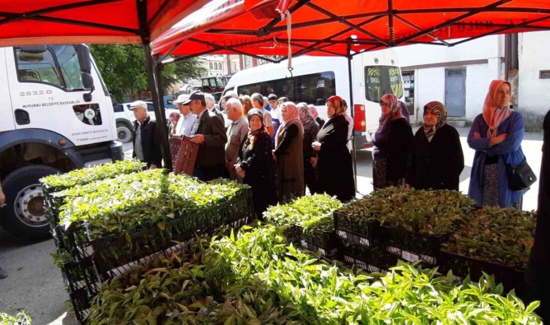 Bolu’nun Mudurnu ilçesinde çiftçilere 108 bin domates ve biber fidesi