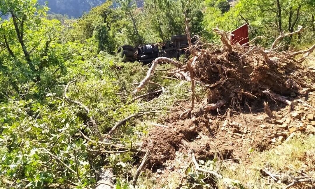Ankara’nın Nallıhan ilçesinde, freni boşalan bir itfaiye aracı ormanlık alanda