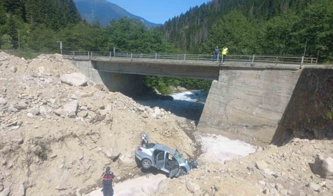 Rize’de dere kenarına düşen araçta bulunan 2’si çocuk yabancı uyruklu