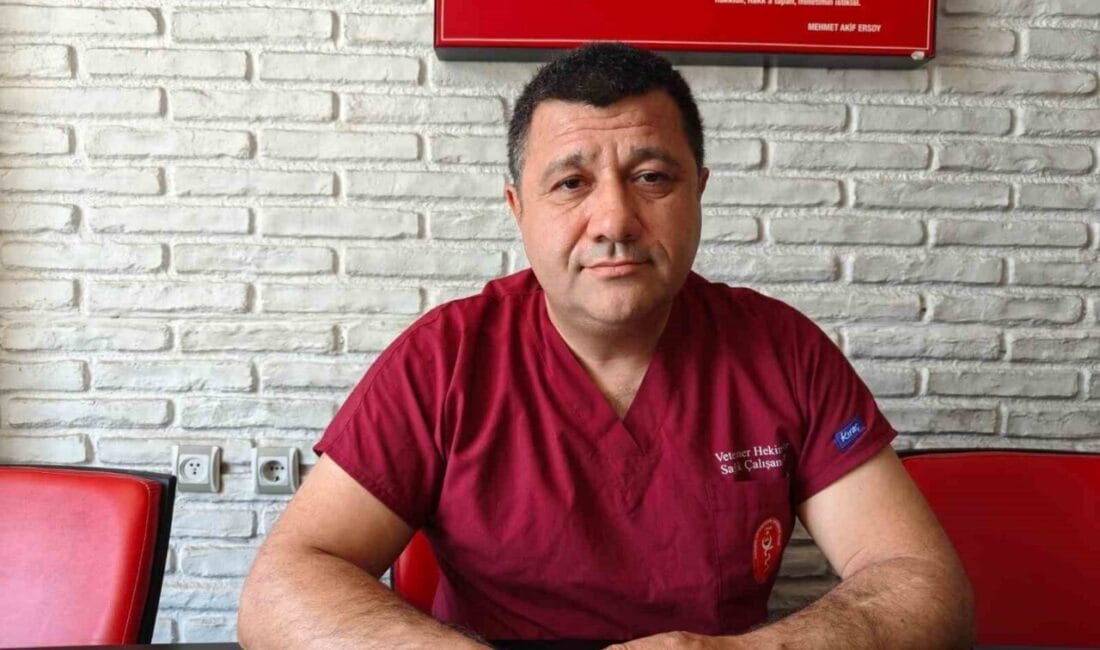 Kayseri Veteriner Hekimler Odası Başkanı Akgün Ergül, havaların ısınması ile