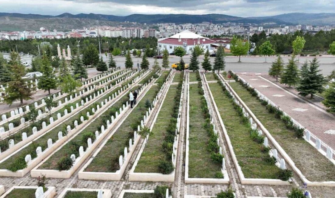 Türkiye İstatistik Kurumu (TÜİK) 2024 yılına ilişkin ölüm nedeni istatistiklerini