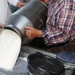 ticari sut isletmelerince 981 bin 10 ton inek sutu toplandi 660a7bd76b02