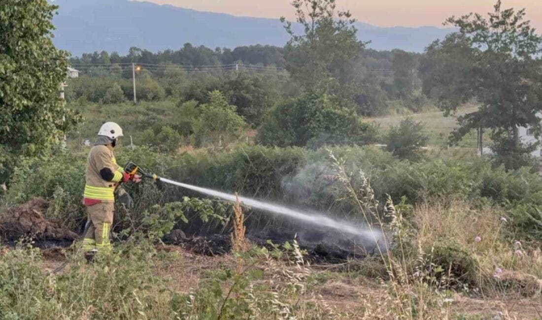 Düzce’de yol kenarına atılan izmarit sebebiyle otlar tutuştu. İtfaiye ekiplerinin