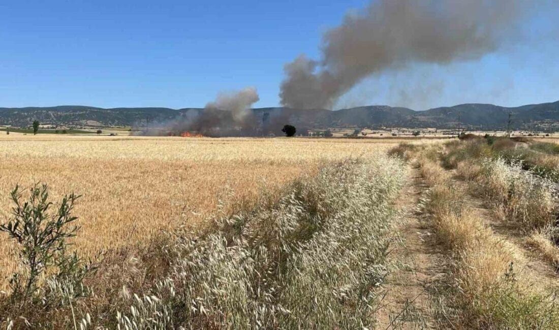 Yozgat’ın Aydıncık ilçesinde tarlada çıkan yangında 20 dönüm ekili alan